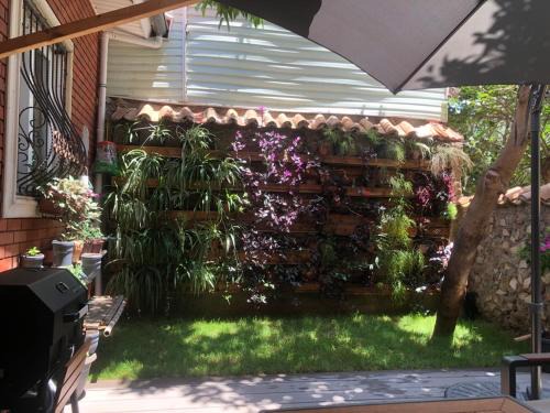 Kaleici Villa | Antalya kaleiçi müstakil kişiye özel bahçeli müstakil VİLLA