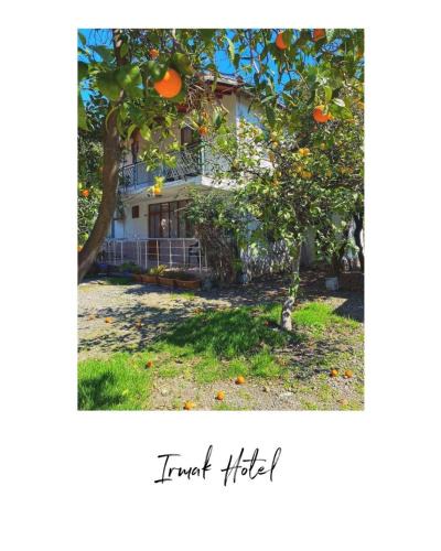 Cirali House | Cirali Irmak Hotel