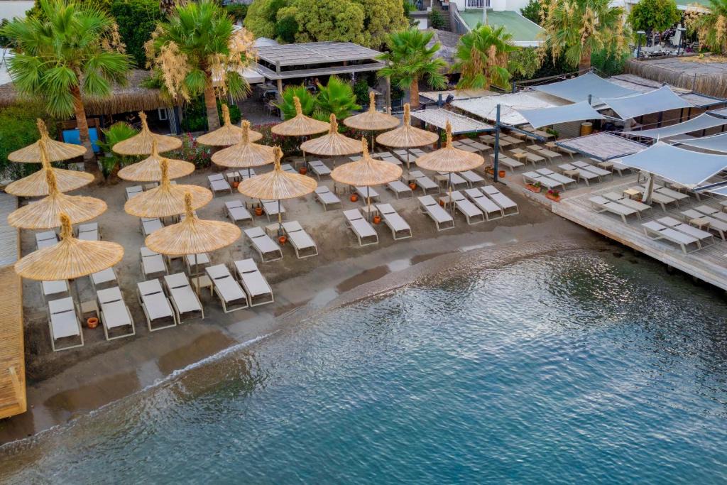 Gundogan Hotel | Costa Farilya Special Class Hotel Bodrum