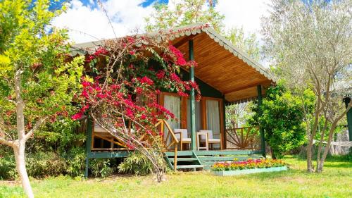 Cirali Bed & Breakfast | Etenna Beach Bungalows
