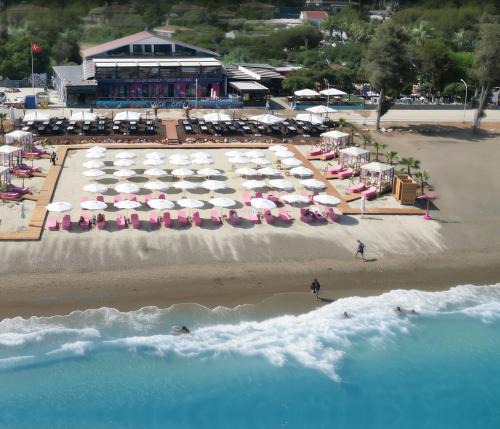 Artikli Hotel | hawaii beach resort otel