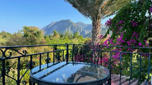 Cirali Hotel | Hemerans Anatolia