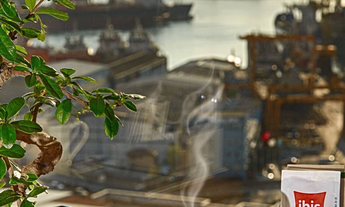 Pendik District Hotel | Ibis Istanbul Tuzla