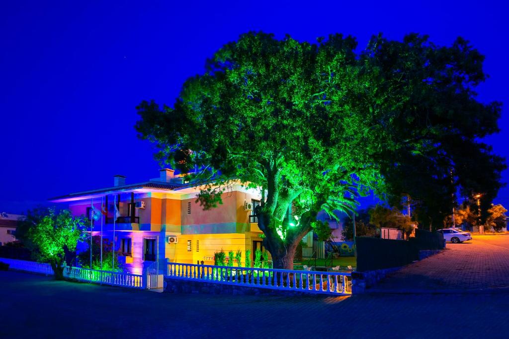 Ilica Bed & Breakfast | Kabasakal Otel