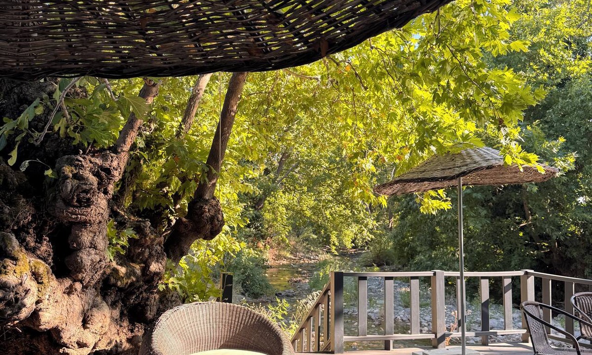 Edremit Hotel | Manastır Mandarin