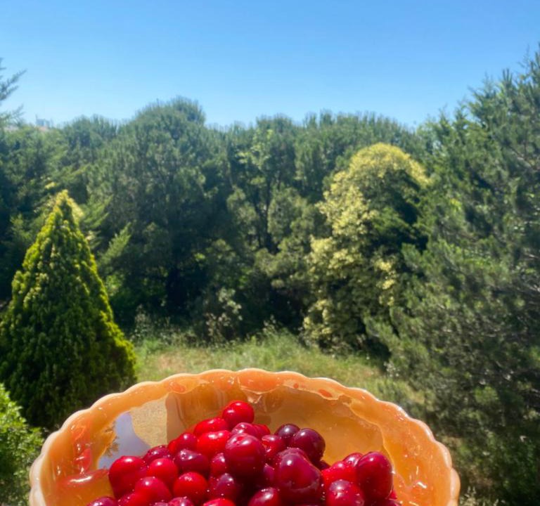Arnavutkoy Hostel | Nature Gate Airport Hotel
