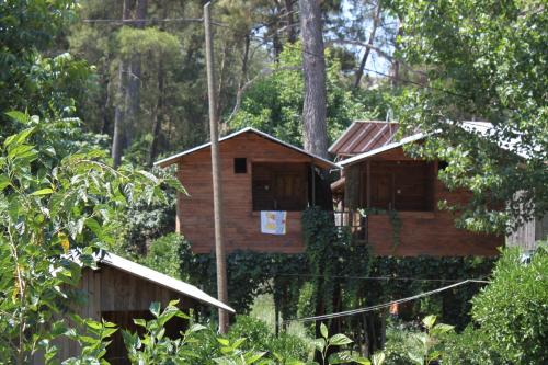 Olympos House | Olympos Camlık Pension
