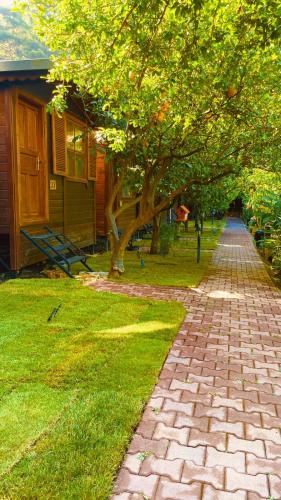 Olympos House | Olympos Varuna Pansiyon