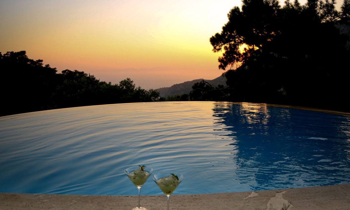 Ortaca Other | Palm House Dalyan - Stone House with Private Infinity Pool