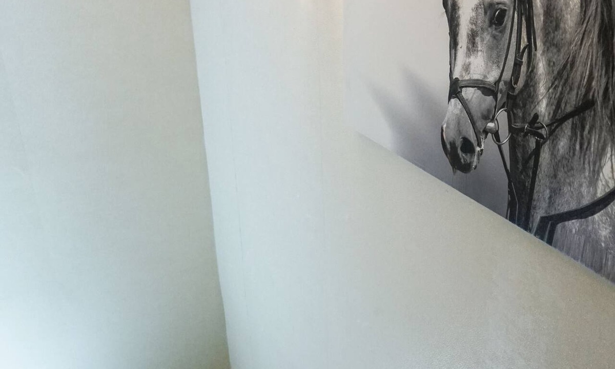Adalar Hotel | Pelit Boutique Hotel