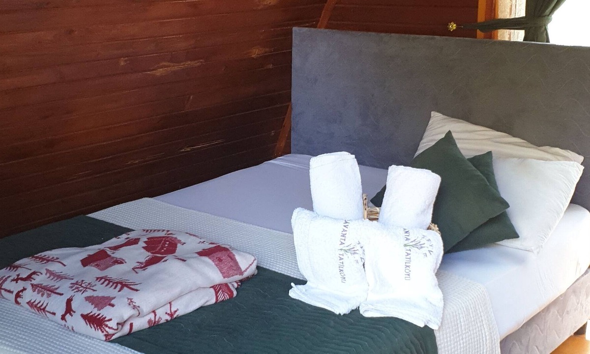 Ermenek Ski Chalet | Zeyve Lavanta Tatil Köyü