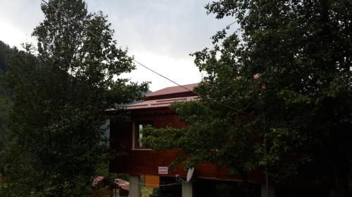 Ayder Yaylasi Apartment | AYDER ŞAFAK Apart