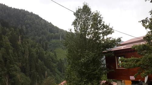 Ayder Yaylasi Apartment | AYDER ŞAFAK Apart