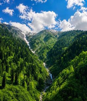 Ayder Yaylasi Hotel | Ayder Doga Resort