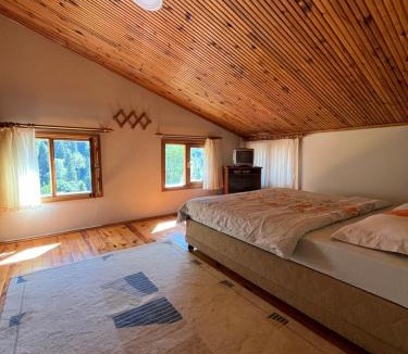 Ayder Yaylasi Apartment | Ayder Pun Apart Three-Storey Villa