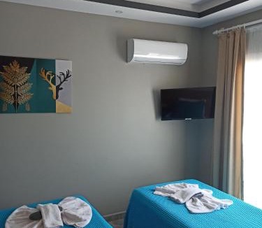 Artikli Hotel | Başar hotel