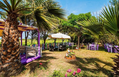 Bozcaada Hotel | Berrak Bağ Evi