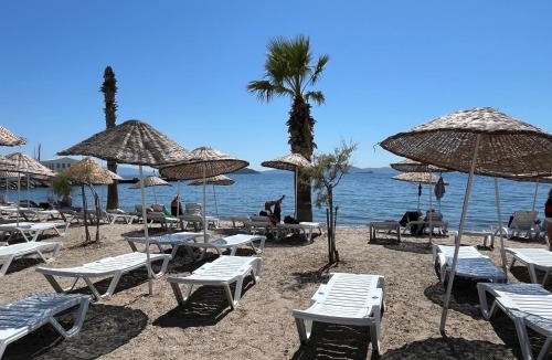 Turgutreis City Center Apartment | Bodrum-Turgutreis Merkezde Plaja 50 Metre uzaklıkta 1 ve 2 numaralı daireler