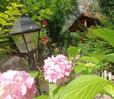 Cirali Cabin | Canario Bungalows