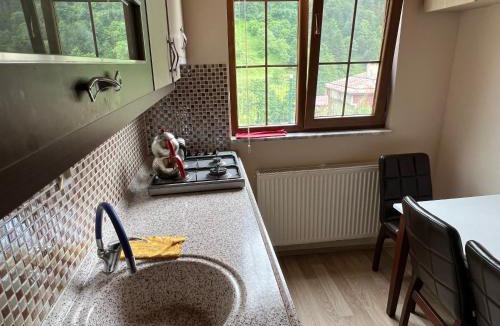 Uzungol Apartment | Defne Apart