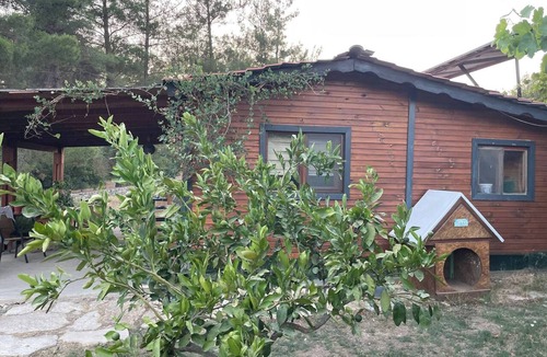 Milas House | Escape the noise, hear only nature’s voice