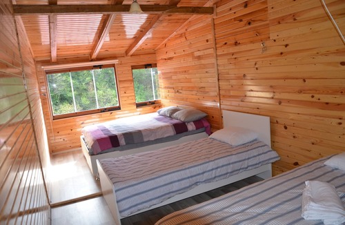 Borcka Hotel | Gogalay Bungalov Hotel - Restoran