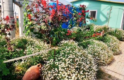 Cumhuriyet Apartment | HAPPY LİFE HOUSES