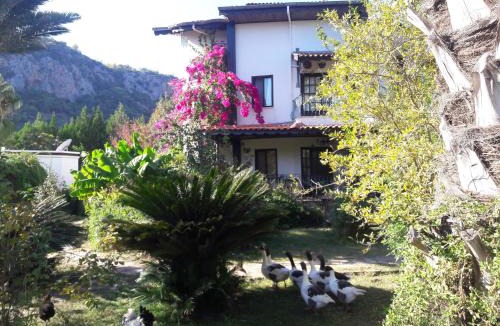 Cirali Hotel | Hemerans Anatolia