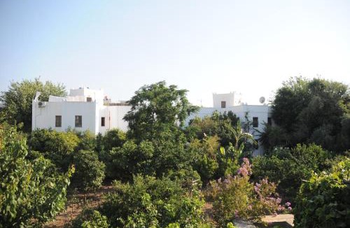 Bodrum City Center Hotel | Hotel Gulec