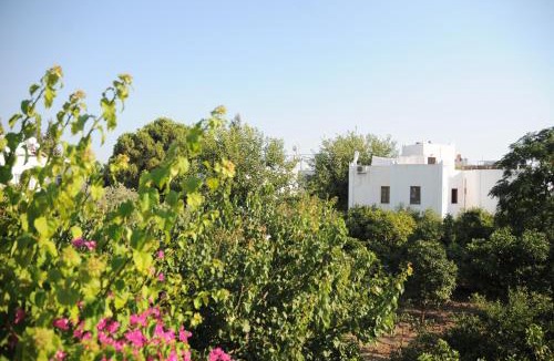 Bodrum City Center Hotel | Hotel Gulec