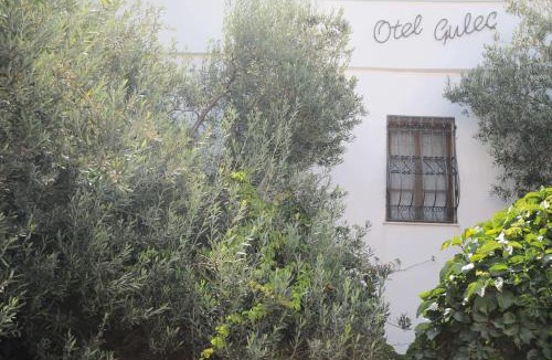 Bodrum City Center Hotel | Hotel Gulec