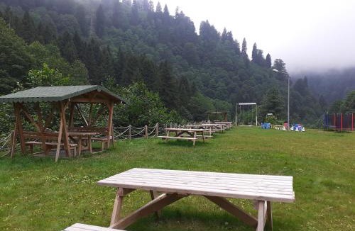 Ayder Yaylasi Hotel | Kackar Resort Hotel