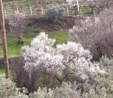 Sirince House | Katina Boutique Otel