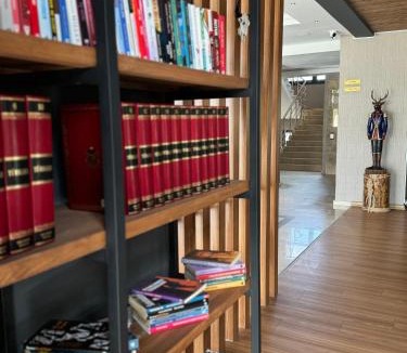 Mt. Erciyes Hotel | Library Hotel Erciyes