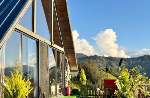 Cayirduzu Hotel | Livoz Suit Bungalov