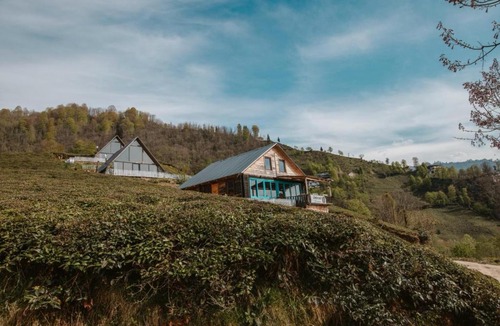 Cayirduzu Hotel | Livoz Suit Bungalov