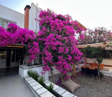 Palamutbuku Hotel | Mavi Lotus Pansiyon & Restorant