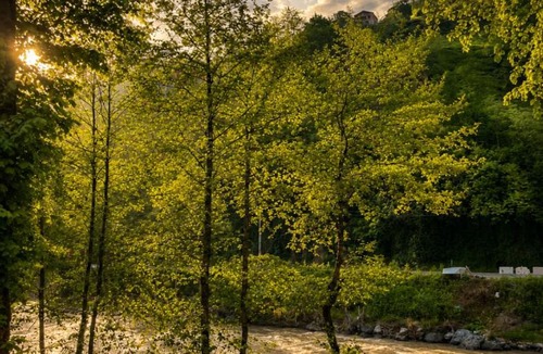 Ayder Hotel | MOLVA Bungalows Otel