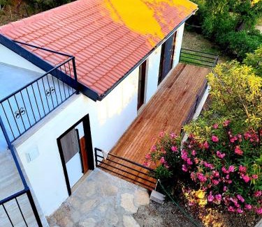 Islamlar House | Mulberry House