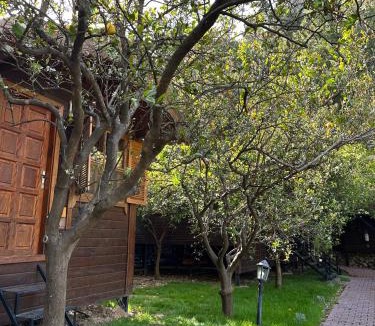 Olympos House | Olympos Varuna Pansiyon