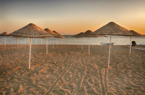 Gumuldur Hotel | Palmiye Hotel