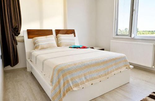 Terme Hotel | Palmiye Resort Villa Samsun