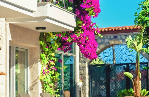 Tokoglu Hotel | Rüzgar Gülü Otel
