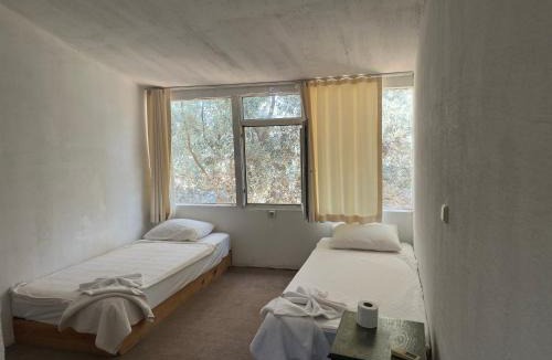 Kabak Valley Other | Shiva Camp