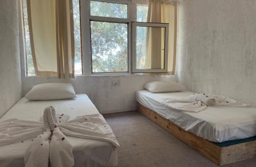 Kabak Valley Other | Shiva Camp