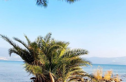 Didim Villa | Stilvolle Villa mit Strandlage