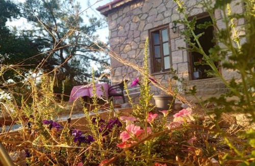 Canakkale Ski Chalet | Stone house in nature, 10 minutes to the city, on the peak