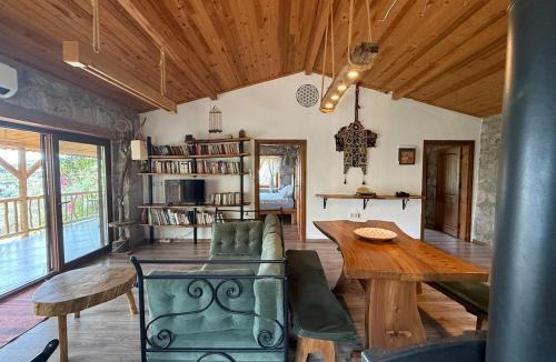 Faralya Villa | Stone House with Pool Among Olive Trees in Kabak
