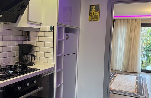 Besiktas Condo | Stylish apartment with Bosphorus view