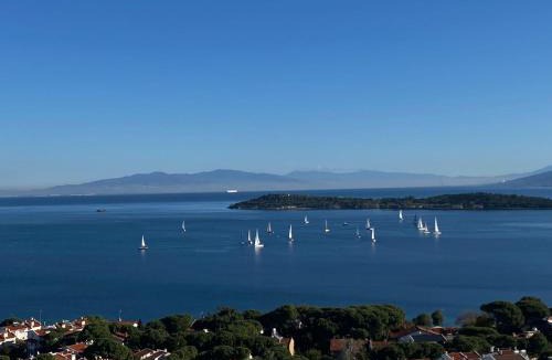 Iskele Mahallesi Bed & Breakfast | Terrace Urla